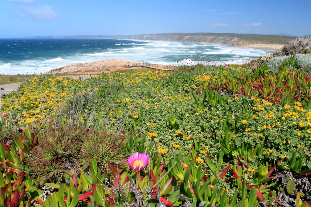 Seven days route with a campervan in Portugal by Our crossing